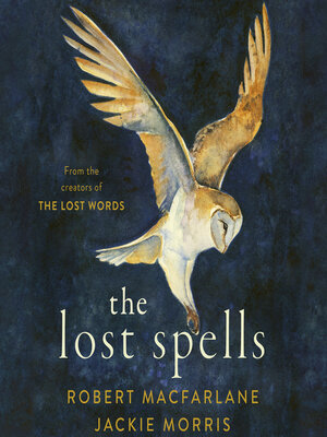 cover image of The Lost Spells